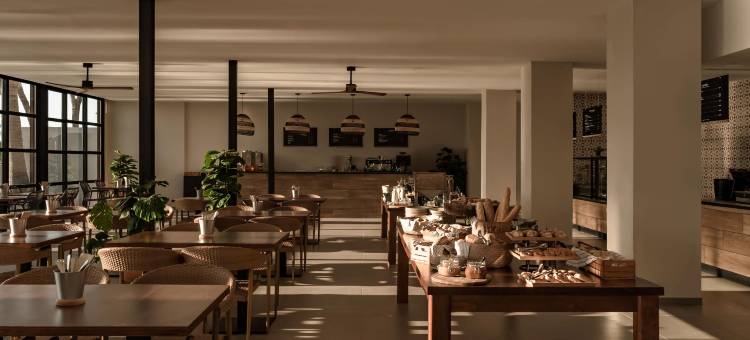 卡尔维亚海滩库克俱乐部 仅成人(Cooks Club Calvia Beach - Adults Only)图片