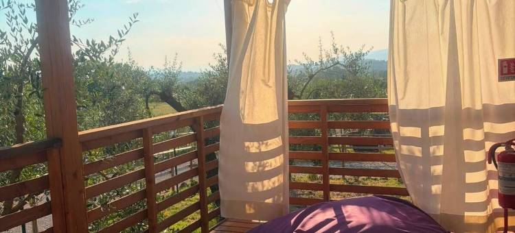阿瑞泽VioVillas农家乐豪华露营(VioVillas Agriturismo Glamping Arezzo)图片