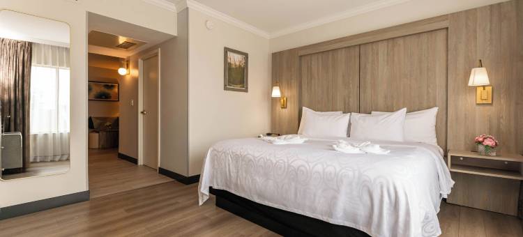 兰普莱特尔贝斯特韦斯特优质酒店及会议中心(Best Western Plus Lamplighter Inn  Conference Centre)图片