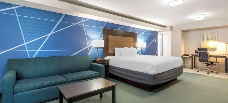 舒适酒店达拉斯北爱情机场(Comfort Inn Dallas North Love Field Airport)图片