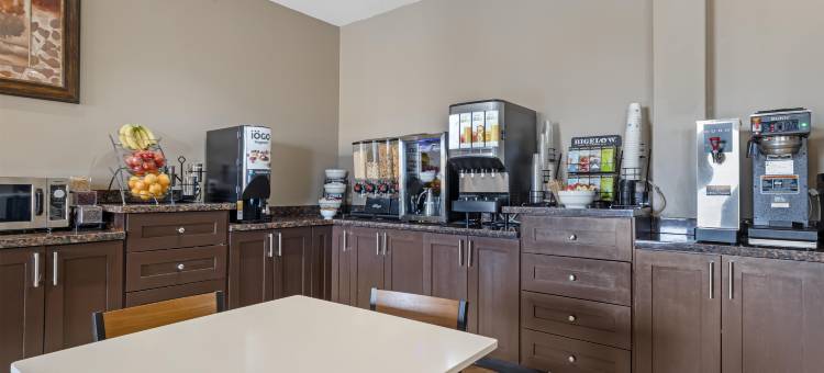 埃斯特万贝斯特韦斯特优质套房酒店(Best Western Plus Estevan Inn  Suites)图片