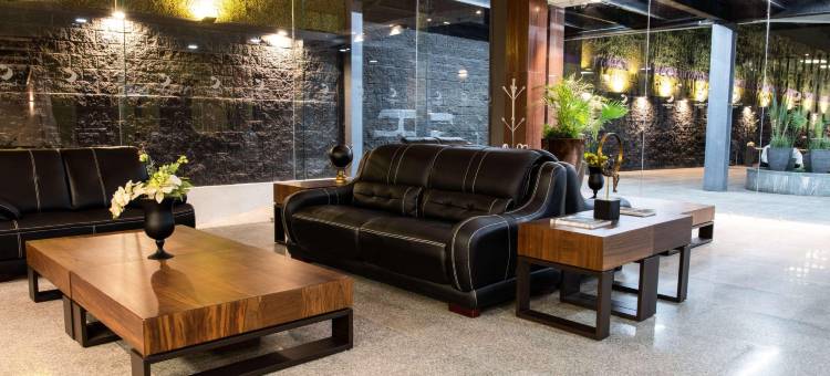 伊拉帕托舒适酒店(Comfort Inn Irapuato)图片