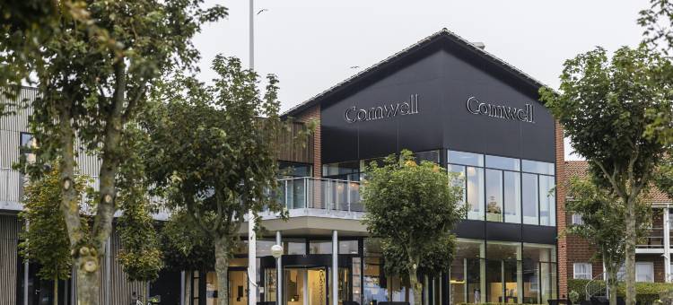米泽尔法特克伦威尔酒店(Comwell Middelfart)图片