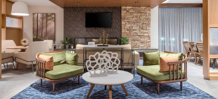 艾伯特维尔万枫酒店及套房(Fairfield Inn & Suites Albertville)图片