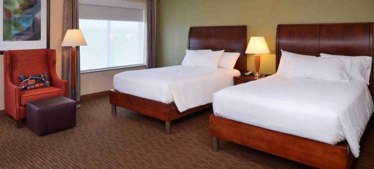 巴尔的摩白色沼泽希尔顿花园酒店(Hilton Garden Inn Baltimore/White Marsh)图片