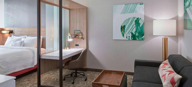 东兰辛大学区SpringHill Suites酒店(SpringHill Suites East Lansing University Area)图片