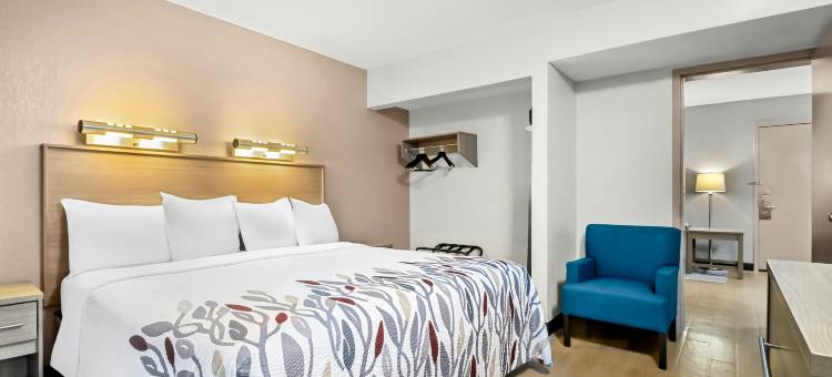 默特尔比奇红顶酒店-公共市场(Red Roof Inn Myrtle Beach Hotel - Market Commons)图片