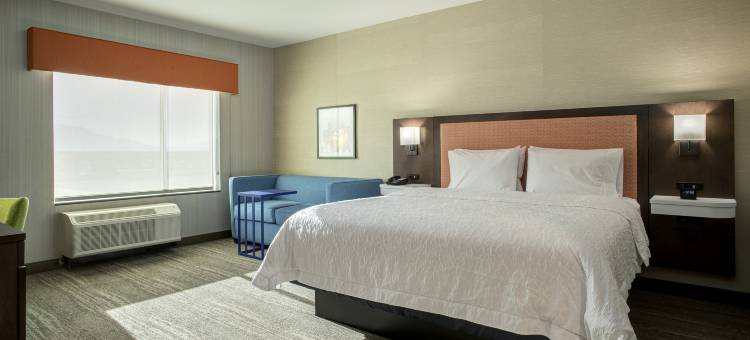 印地欧欢朋套房酒店(Hampton Inn & Suites Indio)图片