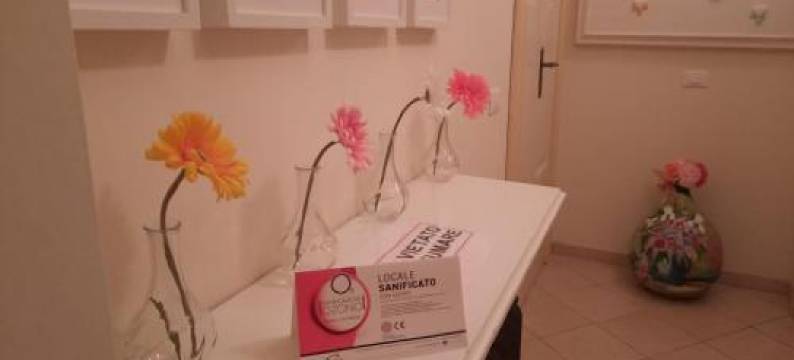 菲欧里精品民宿(B&B Bouquet di Fiori)图片