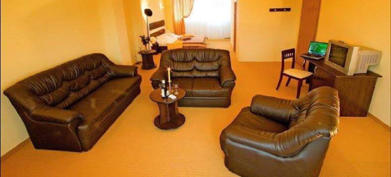 奥托佩尼宪章酒店(Hotel Charter Otopeni)图片