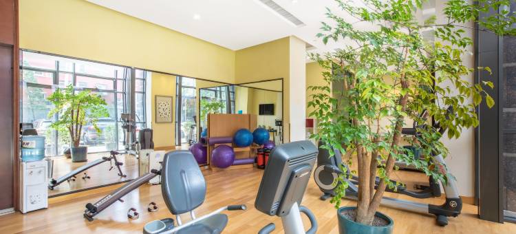 北京东直门智选假日酒店图片