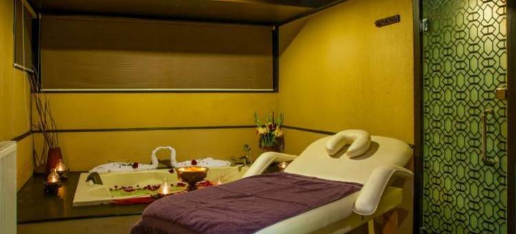 复古贡马酒店(The Vintage Gulmarg)图片