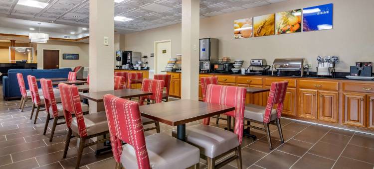 斯泰茨伯勒大学区舒适套房酒店(Comfort Inn & Suites Statesboro - University Area)图片