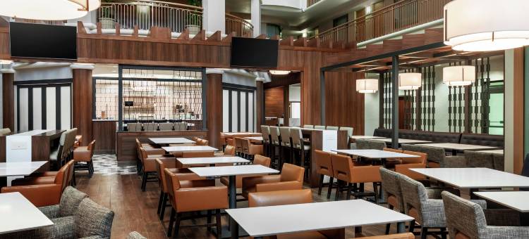 拉斯维加斯会议中心希尔顿安泊套房酒店(Embassy Suites by Hilton Convention Center Las Vegas)图片