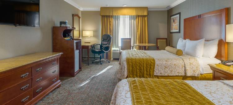新港梅萨贝斯特韦斯特优质酒店(Best Western Plus Newport Mesa Inn)图片