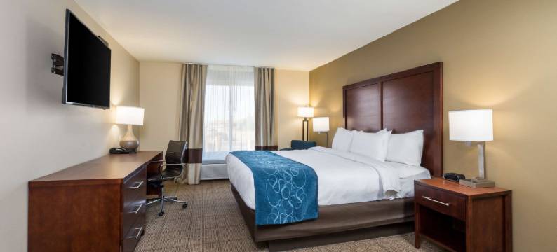 托诺帕舒适酒店(Comfort Inn Tonopah)图片