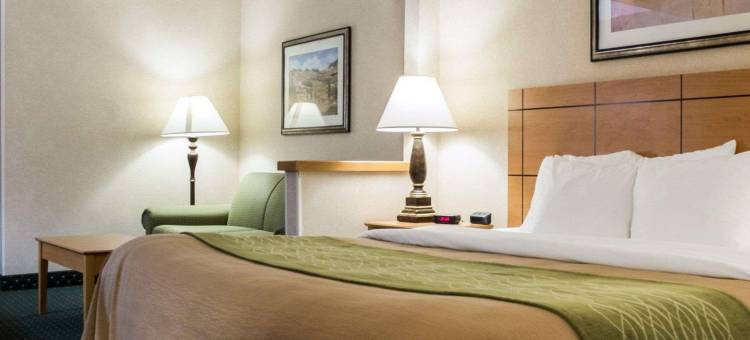 舒适酒店(Comfort Inn)图片