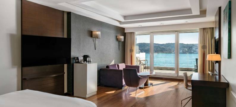 伊斯坦布尔丽笙蓝标博斯普鲁斯酒店(Radisson Blu Bosphorus Hotel, Istanbul)图片