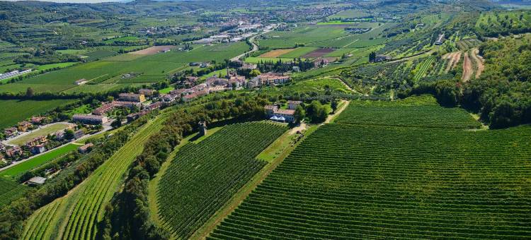 Delo庄园精品酒店(Tenuta Delo Relais)图片