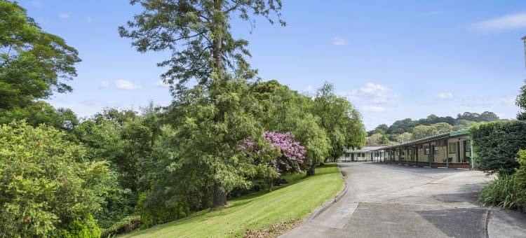 卧龙岗所罗门旅馆(Solomon Inn Motel Figtree)图片