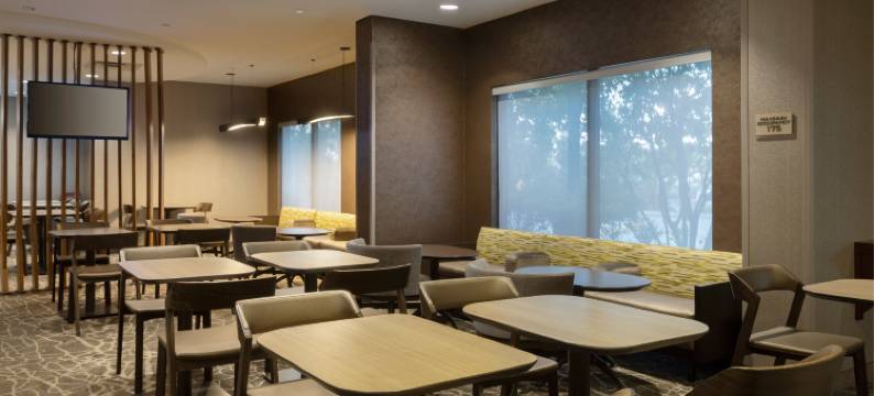 纽瓦克国际机场SpringHill Suites酒店(SpringHill Suites by Marriott Newark International Airport)图片