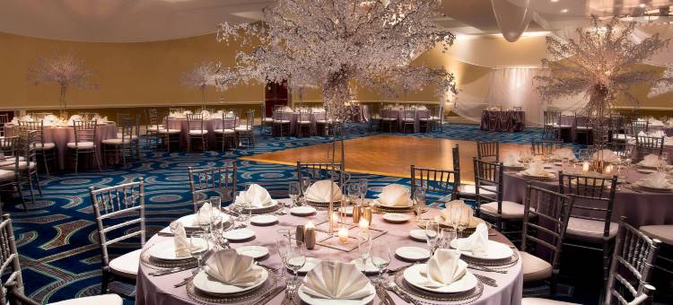 奥兰多布纳维斯塔湖喜来登度假酒店(Sheraton Orlando Lake Buena Vista Resort)图片
