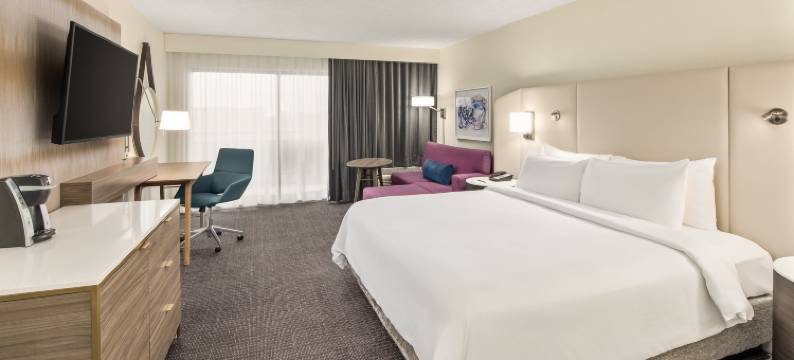 奥兰多皇冠假日酒店 - 维斯塔湖(Crowne Plaza ORLANDO - LAKE BUENA VISTA by IHG)图片