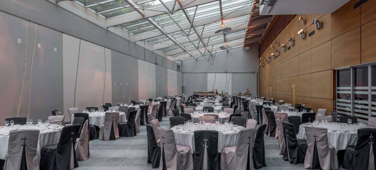 希尔顿日内瓦会议中心酒店(Hilton Geneva Hotel and Conference Centre)图片