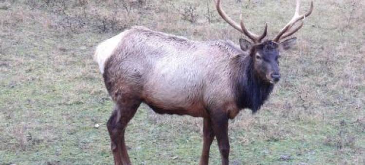 L'Oustalet de Mamy图片