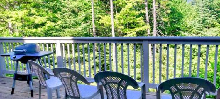 R7 Ski-in Ski-Out Bretton Woods Townhome on 2-Mile Home Trail Mt Washington Views图片
