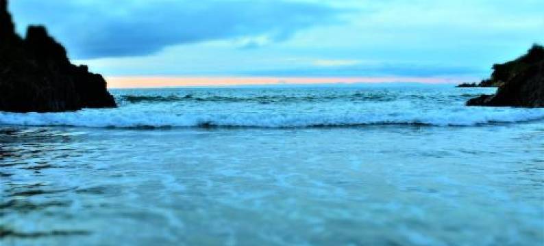 蓝鸟旅馆(Blue Birds)图片