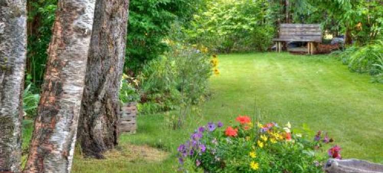 Hummingbird Bed and Breakfast图片