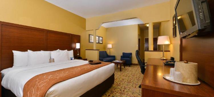 品质套房酒店米德兰北环路250(Quality Suites Midland North Loop 250)图片