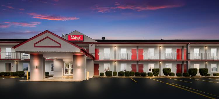 杰克逊红顶套房酒店(Red Roof Inn & Suites Jackson, TN)图片