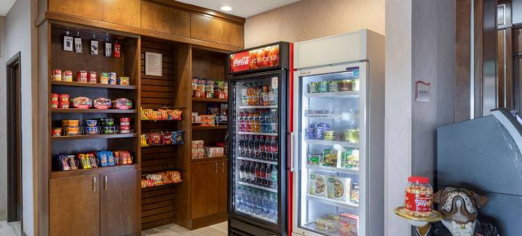 斯托克顿堡贝斯特韦斯特优质酒店(Best Western Plus Fort Stockton Hotel)图片