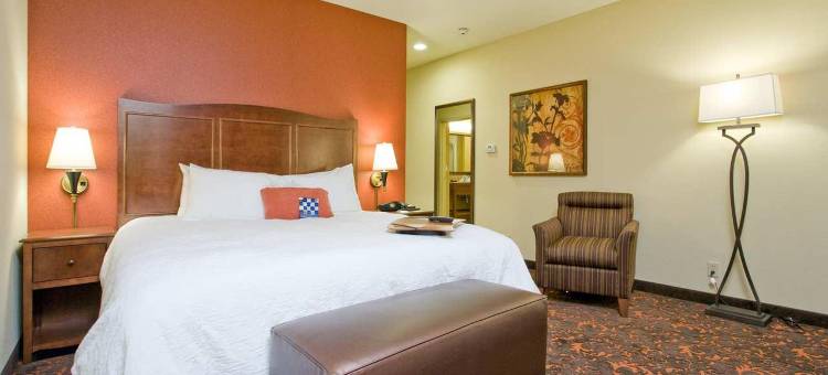 纽布朗费尔斯欢朋套房酒店(Hampton Inn & Suites New Braunfels)图片