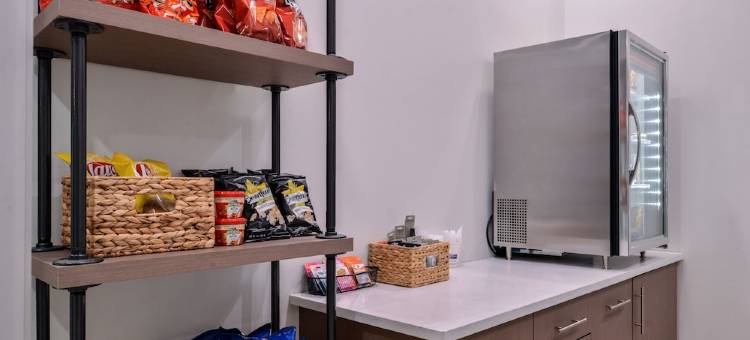 智选假日酒店-新奥尔良艺术区(Holiday Inn Express New Orleans - Arts District)图片