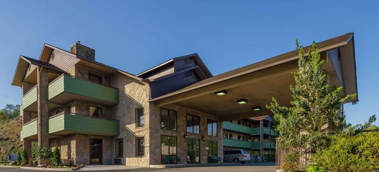 温德姆戴斯酒店 - 南鸽子谷(Days Inn by Wyndham Pigeon Forge South)图片