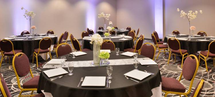 Holiday Inn 堪萨斯城机场(Holiday Inn Kansas City Airport)图片