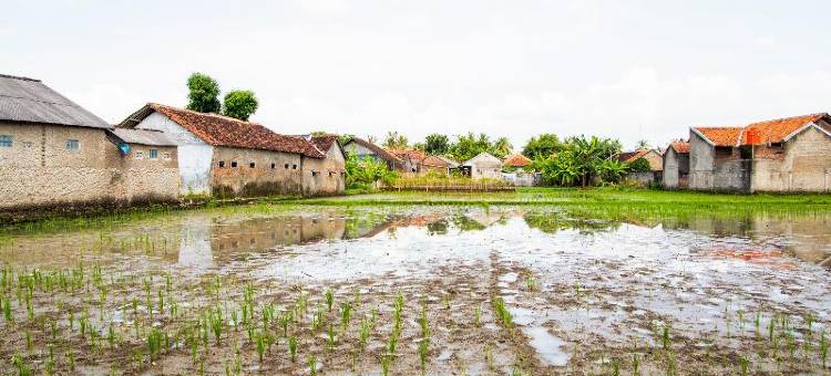 O别墅蒂尔塔梅拉蒂酒店(Hotel O Villa Tirta Melati Syariah)图片