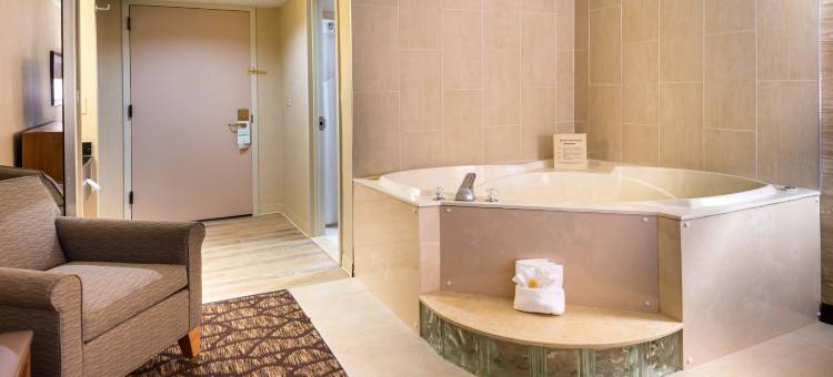 Holiday Inn & Suites 沃伦(Holiday Inn & Suites Warren)图片