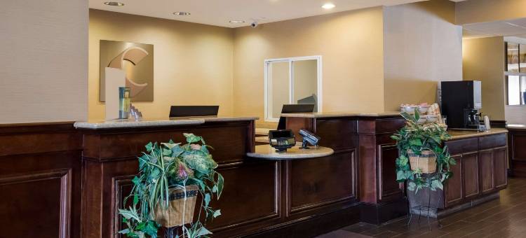 大学附近舒适套房酒店(Comfort Suites Near University)图片