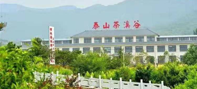 泰山茶溪谷民宿图片