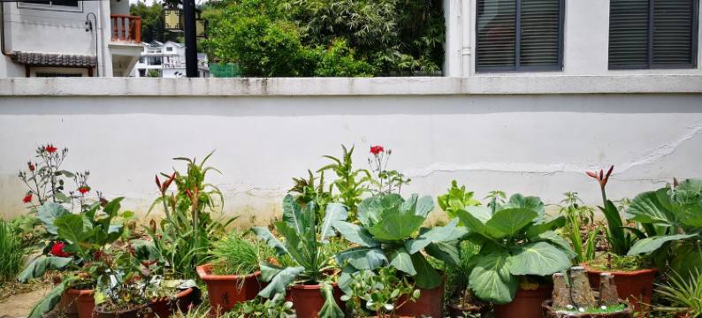 小姜先生特色民宿(淳杨线分店)图片