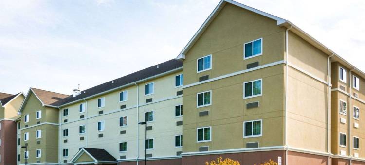 Stafford Suites by IHG图片