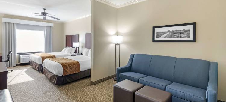 沃斯堡 - 化石溪舒适套房酒店(Comfort Inn & Suites Fort Worth - Fossil Creek)图片