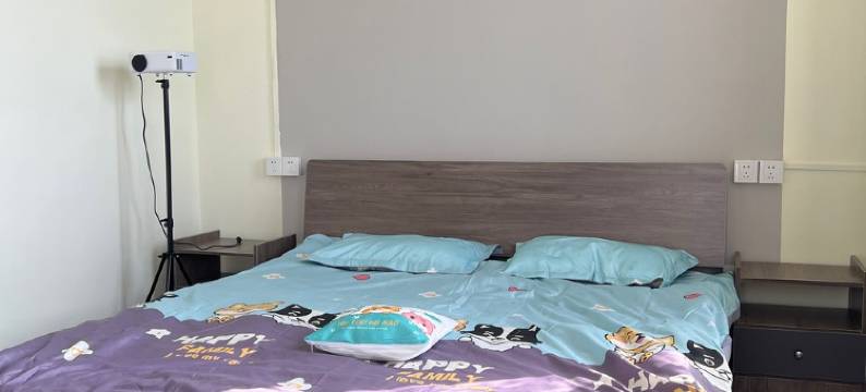 台东步行街民宿(大成路分店)图片