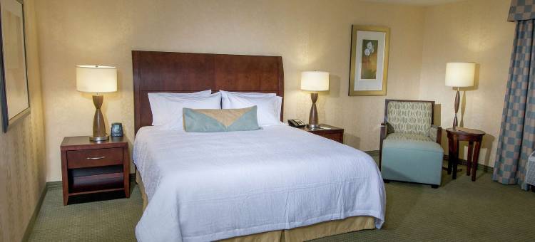 希尔顿花园旅馆-西安普顿蒙荷里(Hilton Garden Inn Mount Holly/Westampton)图片