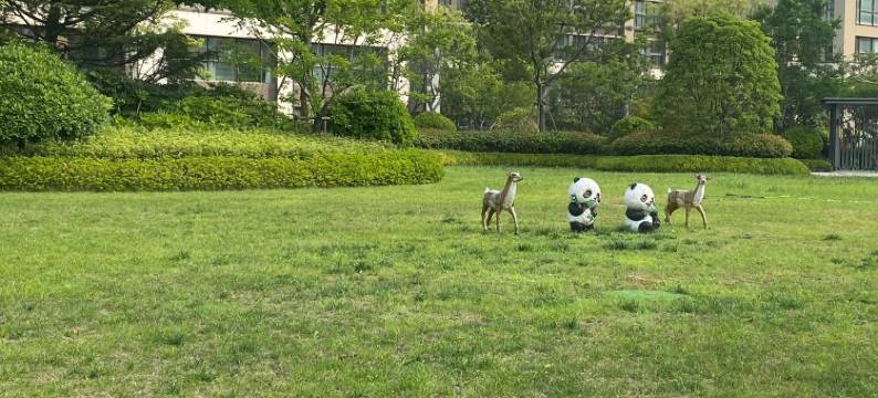 海豚美宿公寓(大洋一路二支路分店)图片