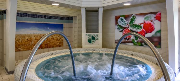 恩萨纳温泉赫威兹酒店(Ensana Thermal Hévíz)图片